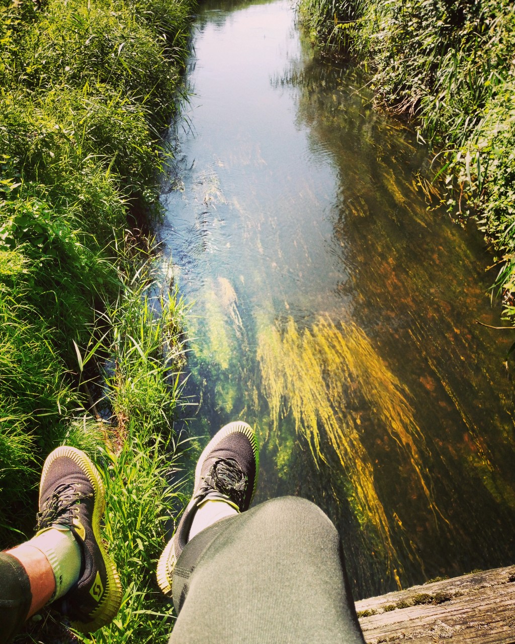 Dag 8 Deel II en dag 9. Druiven, bessen, perensap en een smeltende zon doen pelgrim leeglopen…