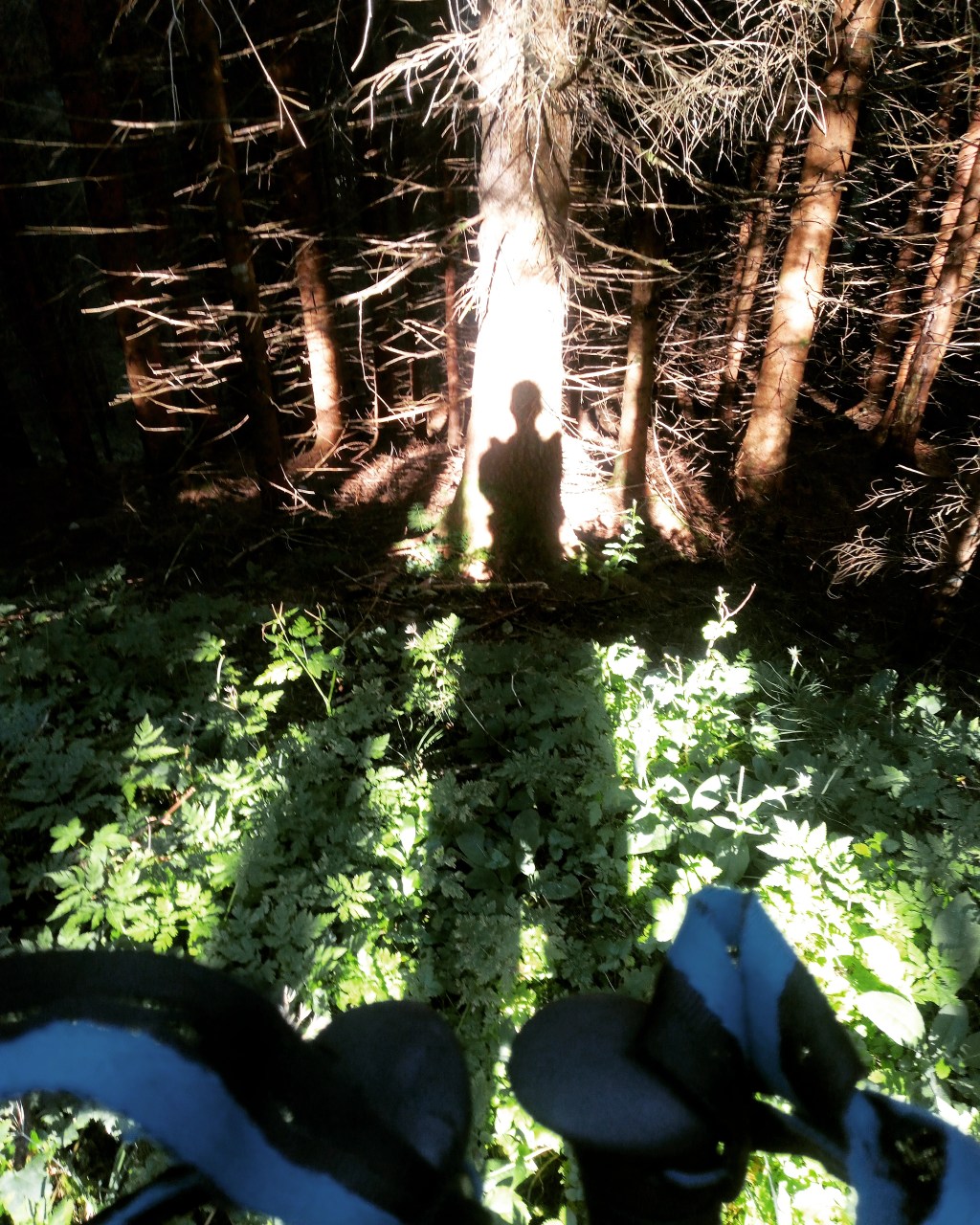 Hoe een pelgrimage de wereld kan redden, een kwestie van&nbsp;tijd