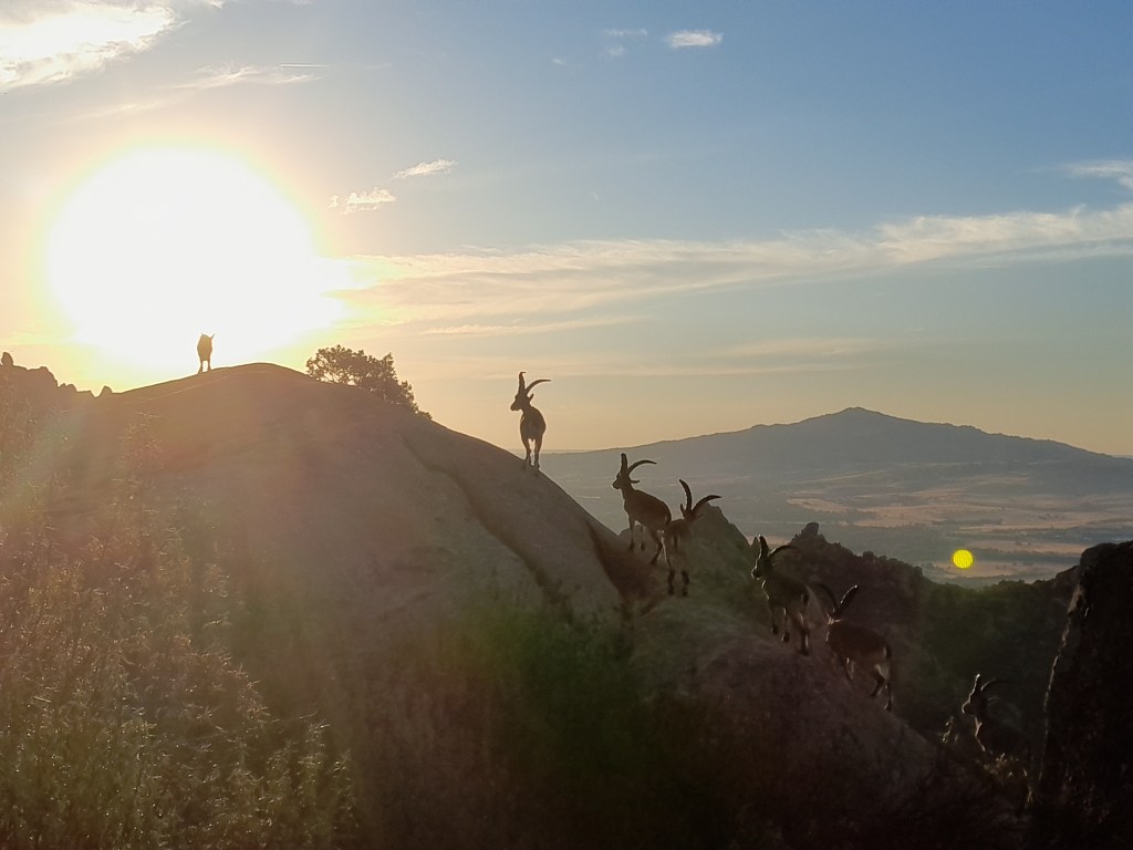 Keihard trainen en kapot gaan in La Pedriza en de Sierra de Guaderrama, de mooiste trailrunarena van&nbsp;europa