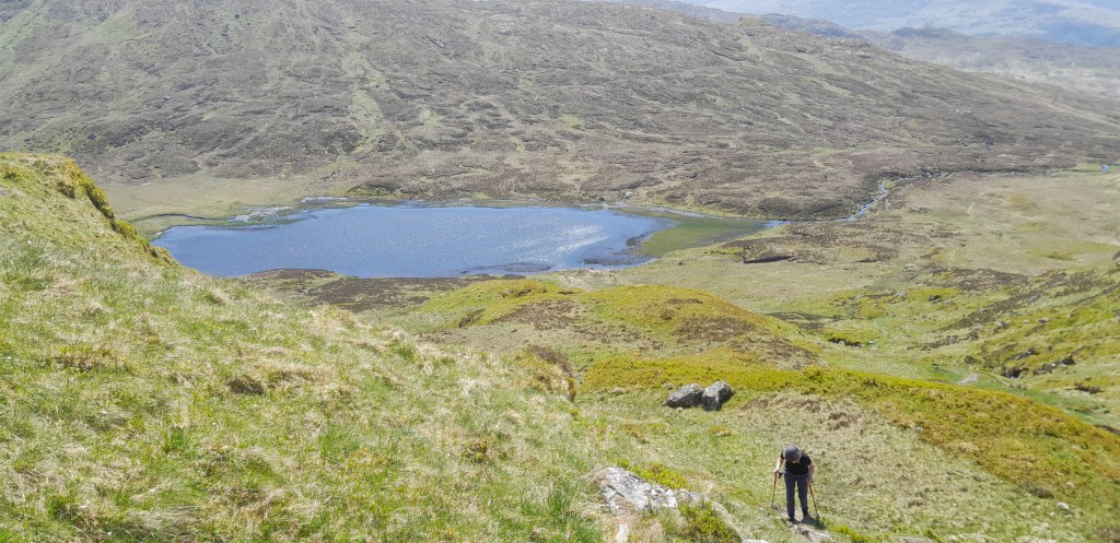 Een lieflijke Munro alias Fonzie uit de&nbsp;Muppetshow