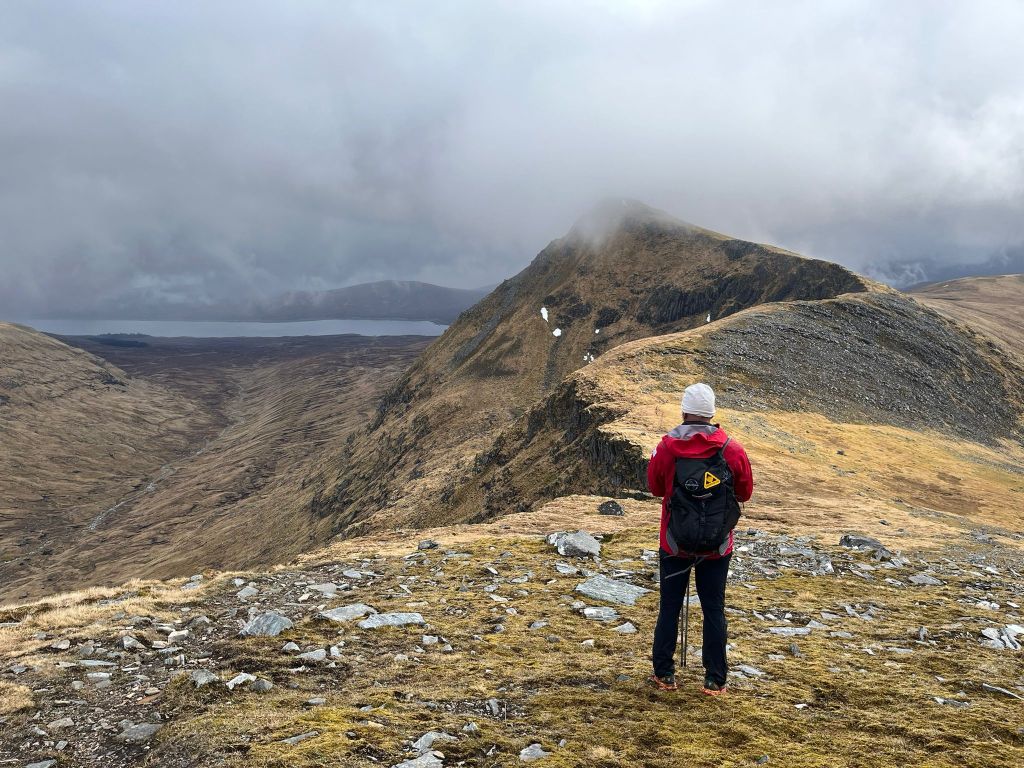 Breezy night, gorilla’s in the&nbsp;mist