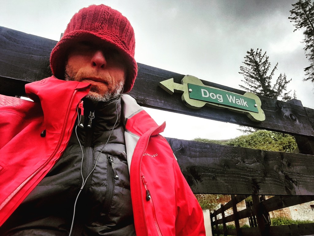 Rustdag met prachtige&nbsp;avondwandeling