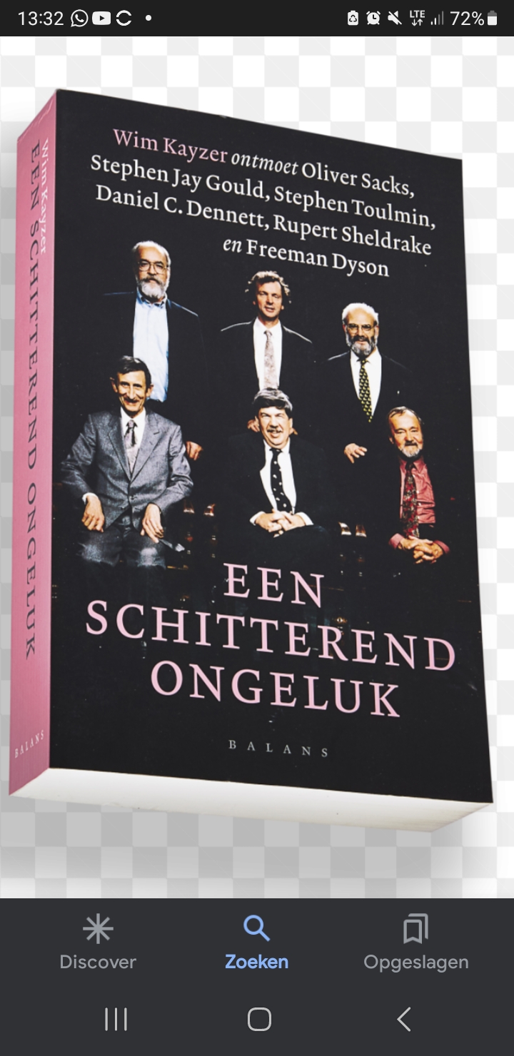 Een schitterend ongeluk