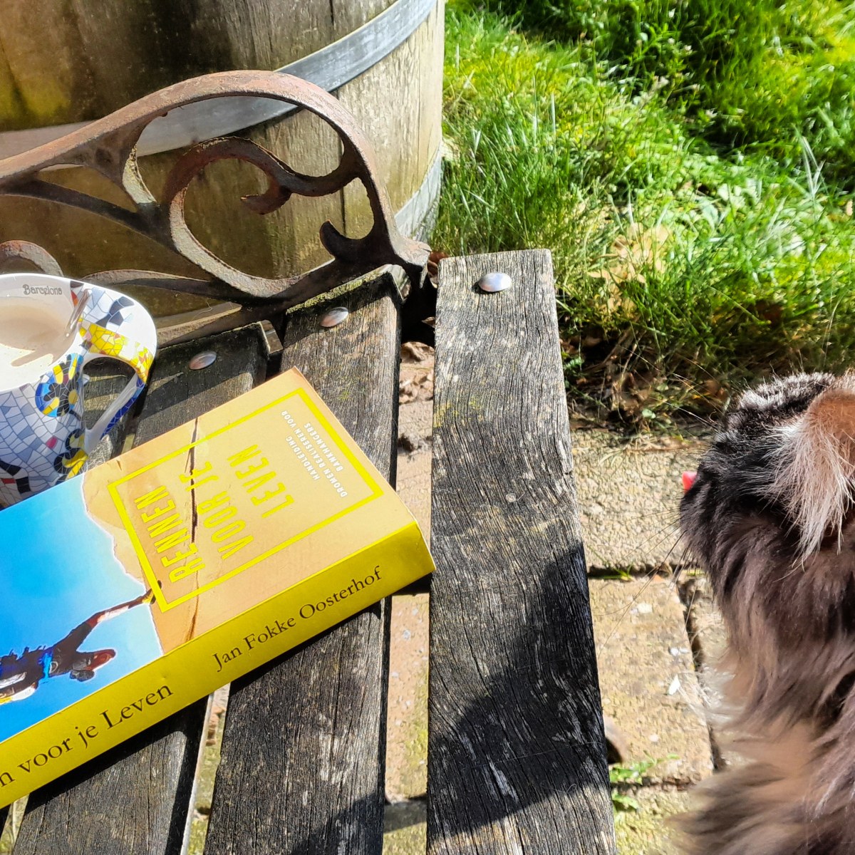 Schrijven als pijnlijke&nbsp;dwaasheid