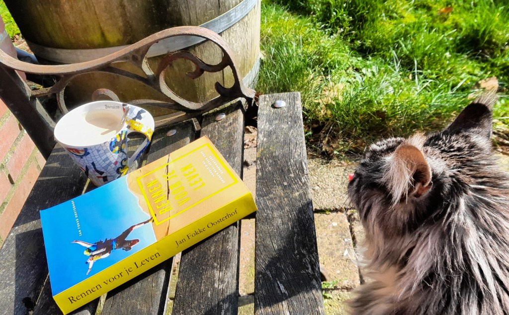 Schrijven als pijnlijke&nbsp;dwaasheid