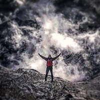 Biomimicry, ofwel hoe we terug naar de basis&nbsp;moeten…