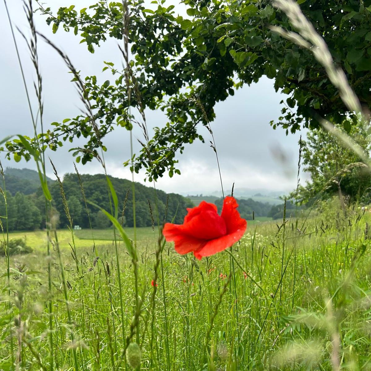 The VinexMatrix, hoe het rood voor mijn ogen&nbsp;werd…