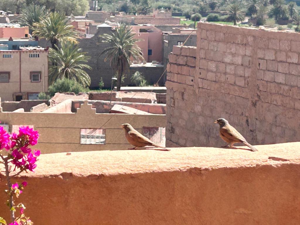 Sanne op de Marathon des&nbsp;Sables